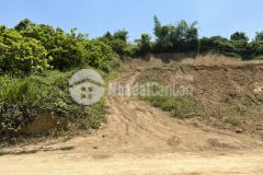 Bán đất cao phong 3677m trồng full cây ăn quả bám mặt đường dài giá đầu tư