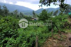 Mảnh đất diện tích rộng tại phìn hồ, y tý phù hợp làm homestay hoặc farmstay