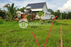 Bán đất nền, thổ cư, tcln tại long an,dt da dạng,pháp lý chuẩn,giá đầu tư. lh0919642741
