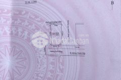 Cần nhượng lại 155m2 đất suối rồng, đồ sơn, hải phòng.