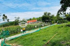 Cần bán đất phú quý đại hiệp bê tông 5m giá chỉ 7xx