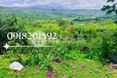 Cần bán 4.6 ha tại xã đan phượng,lâm hà,lâm đồng,giá chỉ 395trsào.liên hệ 0918201492