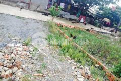 Bán đất vĩnh lộc a bình chánh