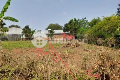 Cần bán luôn và liền lô đất khánh xuân sau nhà thờ chi lăng.