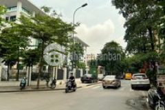 Nhà mặt phố kinh doanh sầm uất, 77m trân văn lai, mỹ đình.