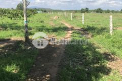 Lô 2 đường grao kcn tân đức 1,87 mẫu 3,8 tỷ