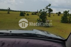 Bán 9185m2 đất sào hồng thái gần đường liên xã sổ sẵn chỉ 1,194 tỷ lh 0938677909 hiền