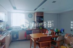 Nhà bán hẻm xe hơi xóm đất, quận 11, 63 m2, giá rẻ