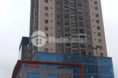 Căn hộ chung cư trung tâm cầu giấy 140m2 hiện đại tiện nghi tòa nhà tiện ích.