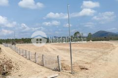 Sông phan hàm tân 9,6 sào vuông 31x31 3,5 tỷ