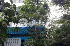 Nhà đường 8 lò lu diện tích 53m đúc 3 lầu gần đông tăng long, vị trí đẹp