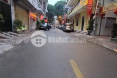 Cần bán gấp nhà phố kim đồng 56m2 7 tầng vỉa hè rộng,ô tô đỗ,kd,giá 5,9tỷ