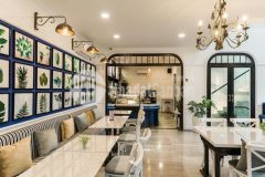 Lô gốc, ánh sáng rực rở, nguyễn trọng tuyển, quận tân bình, lh0932903606