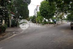 Bán đất đấu giá lâm hạ 90m2, đẳng cấp của mọi đẳng cấp.