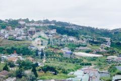 D1156 bán gấp lô đât kqh thái lâm nguyễn trung trực phương 4 tp đa lat