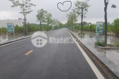 Dịch covid19 cần bán cắt lỗ mảnh đất ở vân đồn