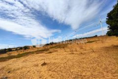 Đất bình thuận 90.000m2 gần ql1a