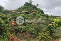 Bán mảnh đất ở mộc châu có diện tích 443m2, có 200m thổ cư có sẵn nhà mái thái