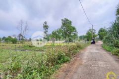 Mua bán đất nền quảng trị vị trí đẹp, giá rẻ t52022