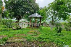 Đất giá rẻ,tiềm năng cao,nghỉ dưỡng ba vì