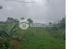 Bán cắt lỗ mảnh đất hơn 1100m2 tại mò phú chải phù hợp đầu tư