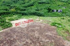 1900m2 đất 2 mặt tiền tỉnh lộ 8 khánh đông khánh vĩnh chỉ 1,140 tỷ