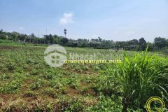 Đất đầu tư sinh lợi nhuận cao, xung quanh tiện ích đầy đủ.