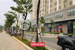 Báncho thuê kiot chung cư iec tứ hiệp,có sổ, kinh doanh tốt, ck cao. giá từ 1.9 tỷ