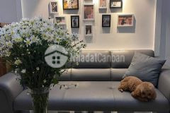 Bán nhà đẹp phố kim mã 43m2 5 tầng ngõ ba gác giá chỉ nhỉnh 3 tỷ