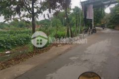 Chính chủ cần bán đất yên nghĩa 76m2 mt 4.2 nhỉnh 4 tỷ.