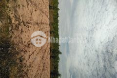 Đất bình thuận giá rẻ sinh lời cao