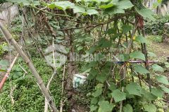 Bán đất 54m2 sát phố thạch bàn,ô tô đỗ 5m.