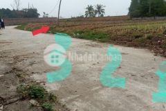 Bán đất băng 2 đường tỉnh lộ 309c, xã hoàng hoa, tam dương, vĩnh phúc diện tích 133m2 giá 588 tr