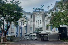 Mảnh đất vàng trong làng đầu tư.