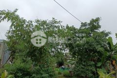 Chỉ 2 tỷ 2xx triệu sở hữu ngay 125m đất nghĩa phương, đồ sơn