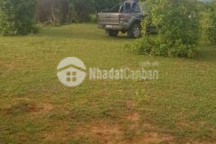 Bán 2126m2 đất sào hồng thái cách đường liên huyện 600m chỉ 468tr lh 0938677909 hiền xem sổ