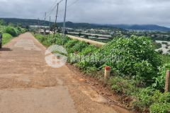 Em có 1 lô giá chỉ 700tr 6x20m ngay suối thông. đơn dương lâm đồng. đất chính chủ. bao sổ