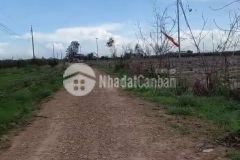 Mai thúc loan tân thuận 1,6 mẫu 310m đường 9,5 tỷ