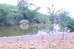 Chính chủ cần bán 590m2 đất nằm trên trục chính bãi dài diện tích trên sổ là 590m2 có 400m đất ở,