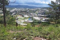 Bán đất đường đống đa p3 tp. đà lạt với diện tích 1200m² ngang 14.69 dài 74.89 với giá chỉ 23tỷ