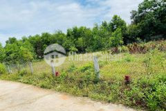 Cần bán đất đại hiệp giáp ranh hòa khương đà nẵng