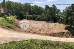 Bán lô đất gần 2000m2 tại trung tâm vân đồn phù hợp mọi loại hình kinh doanh