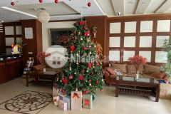 1 đường nguyễn văn dung, p.6, gv chủ gửi bán khách sạn