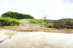 2 sào đất đường tỉnh lộ 8b suối lách khánh trung chỉ 740triệu