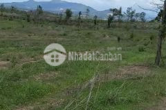 Tân lập 27 mẫu 4000m thổ cư giá 1,65 tỷmẫu