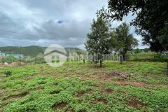 Đất vùng ven đà lạt, đang có tiềm năng phát triển, đường xe hơi tận đất, có thể t