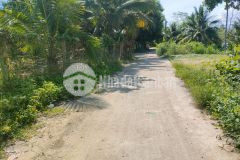Bán đất diên lâm sau lưng uỷ ban xã