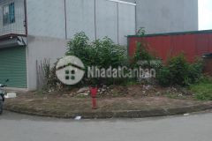 Bán đất lô góc khu dv tây nam linh đàm, 60m2, kt 5x12, đường ô tô chánh, vỉa hè