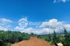 Chính chủ cần bán 120m2.6x 12m giá 700 triệu tại đạ ròn. đơn dương