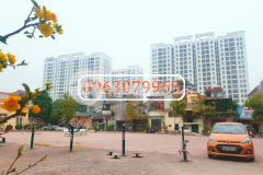 Bán cc homelandnguyễn văn cừ 2pn2wc sổ đỏ chỉ từ 1.9 tỷ